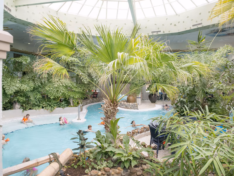 Swimming Paradise