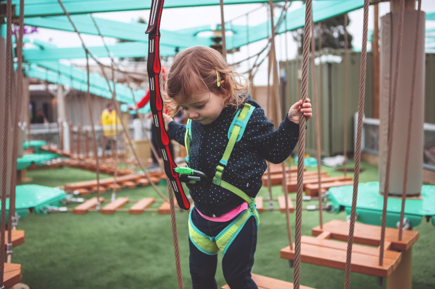 Mini Aerial Adventure area