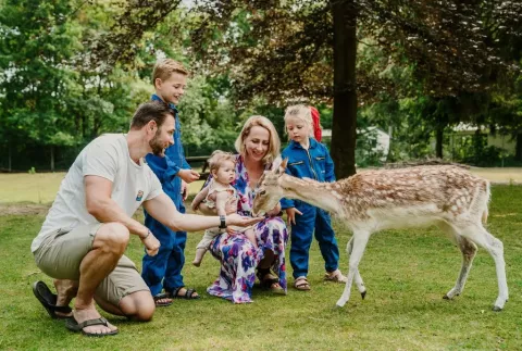 Dierenbos